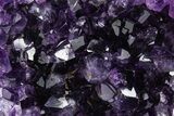 Free-Standing Amethyst Crystal Cluster - Uruguay #368262-1